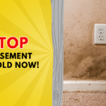 Banish Basement Mold: Health Risks and Essential Prevention Tips